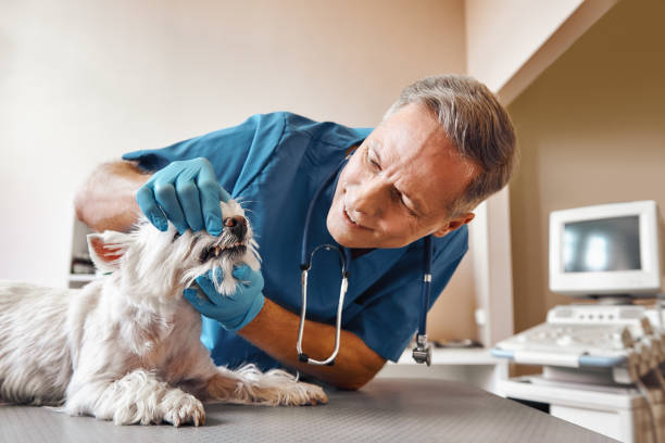 Best Emergency Broken Tooth Repair in Warrenton, OR